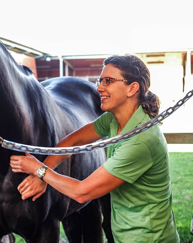 About Us | Animal Physiotherapy and Rehabilitation - ARC