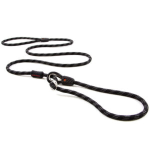 EzyDog Luca Leash and Collar Combo