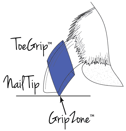 Dr Buzby's Toe Nail Grips  Animal Physiotherapy and Rehabilitation - ARC