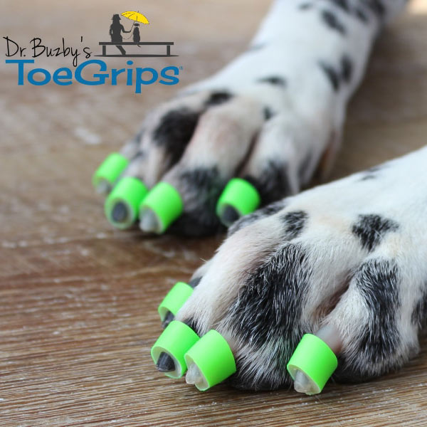 Dr Buzby's Toe Nail Grips  Animal Physiotherapy and